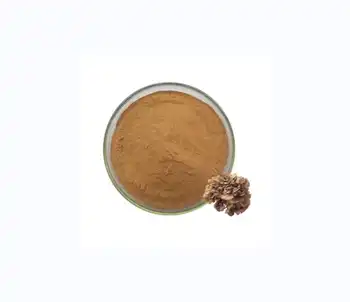 How does Grifola Frondosa Extract compare to other medicinal mushrooms?